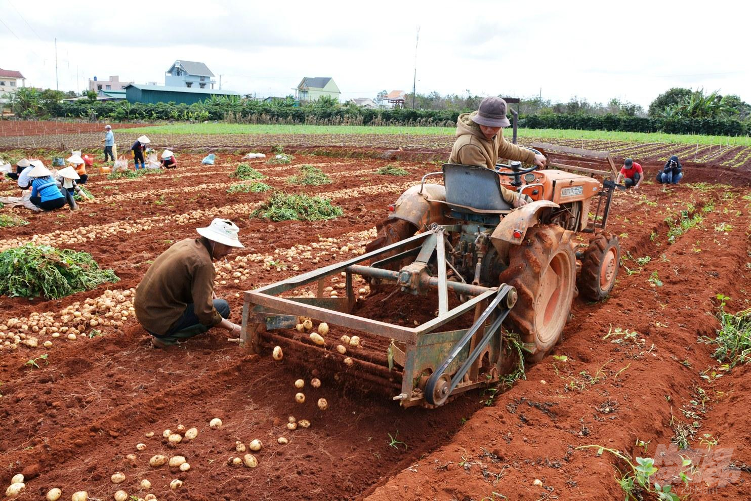 Nhà Phân Phối Máy Móc Vật Tư Nông Nghiệp Vật Tư Xây Dựng Tại Thị xã Thái Hòa Nghệ An